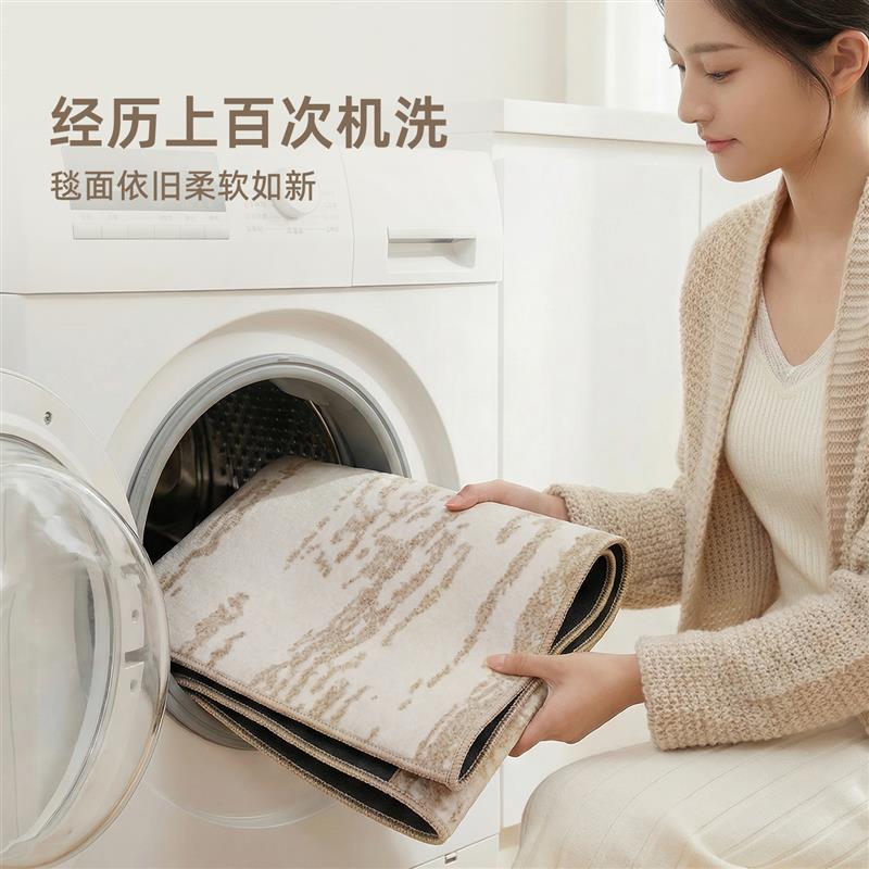 地毯客厅2026新款可拆洗双层沙发茶几毯卧室可机洗床边地毯可定制