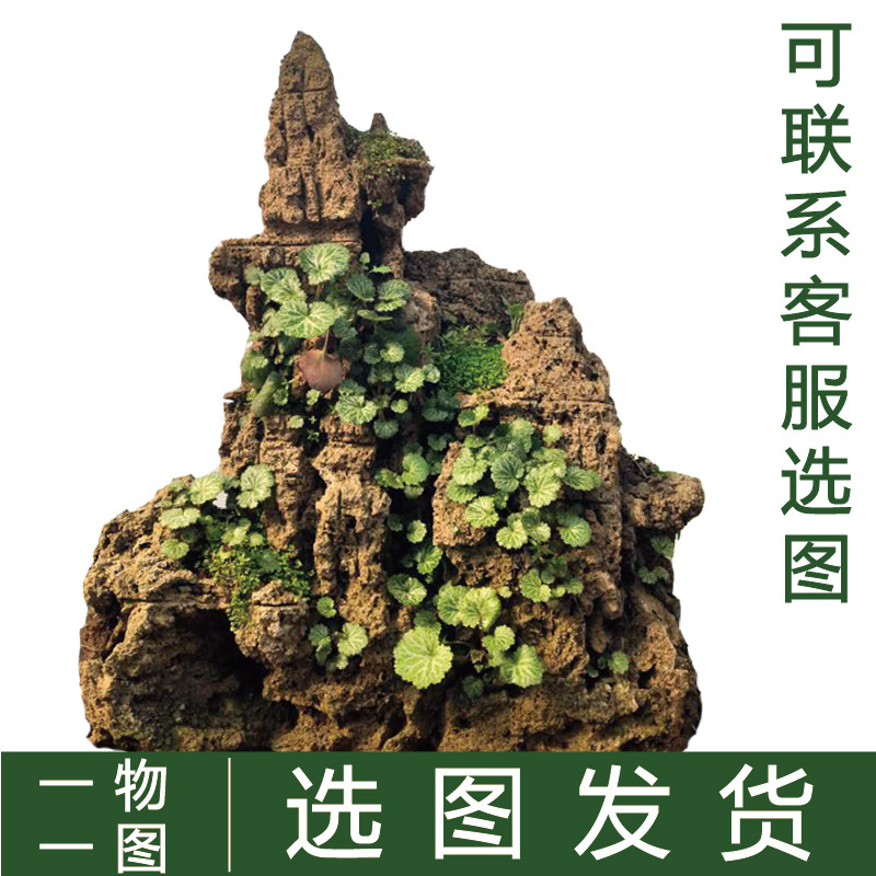 精品上水石假山盆景吸水石天然奇石原石创意礼品家庭景观奇石装饰