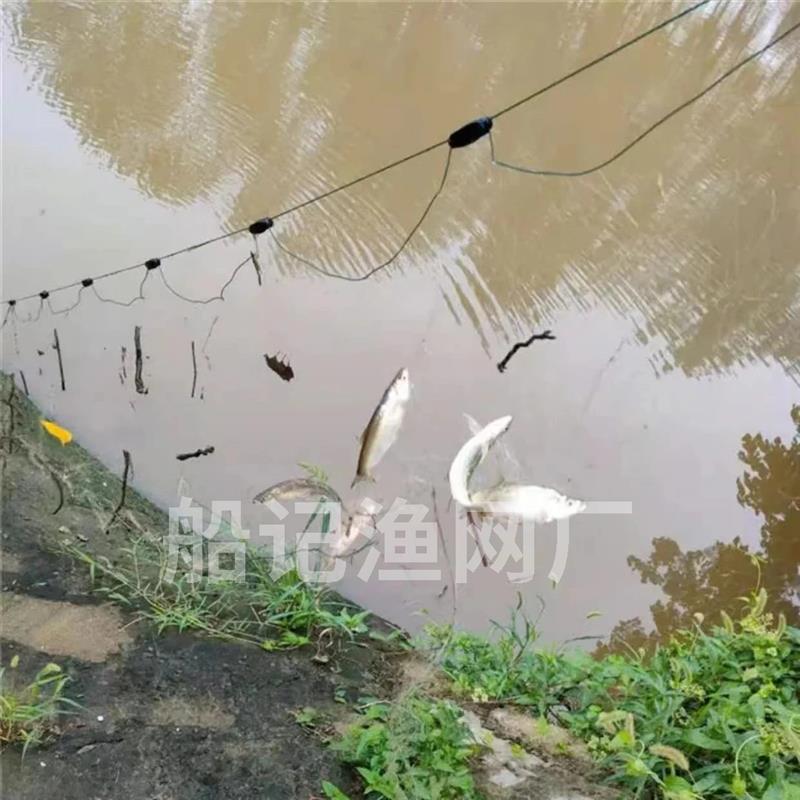 弧月纲渔网小外套三层沉网柔丝白条网餐条网浮网丝网渔网