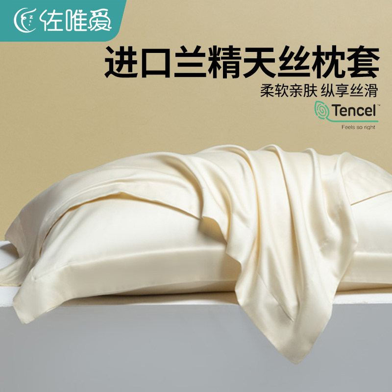 高级感天丝枕套一对装真丝枕头套夏季冰丝48cmx74cm枕芯内胆套新图片