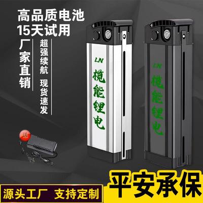 折叠电动车36V48V20AH锂电池可拆卸充电外送代驾通用银鱼海霸电池