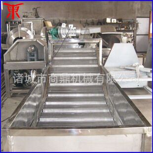 苏州乌梅全自动果蔬气泡清洗风干流水线 芋头毛棍去皮清洗