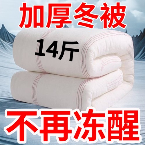 棉絮床垫四季通用被芯