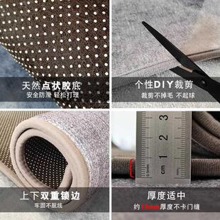 轻奢入户门地垫门口地垫进门可擦洗地毯门口家用门垫定制吸水地毯
