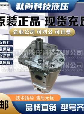 合肥赛源齿轮泵CBNL-F563/F520 F563/F510 F550/F520-BF液压油泵