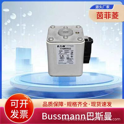 巴斯曼170M5922 170M5923 170M5924 170M5925 170M5926 170M5927