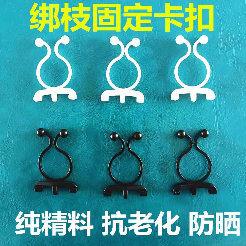 葡萄绑枝卡扣新款蓝莓绑枝卡子绑枝扣猕猴桃卡扣固定器枝条固定卡