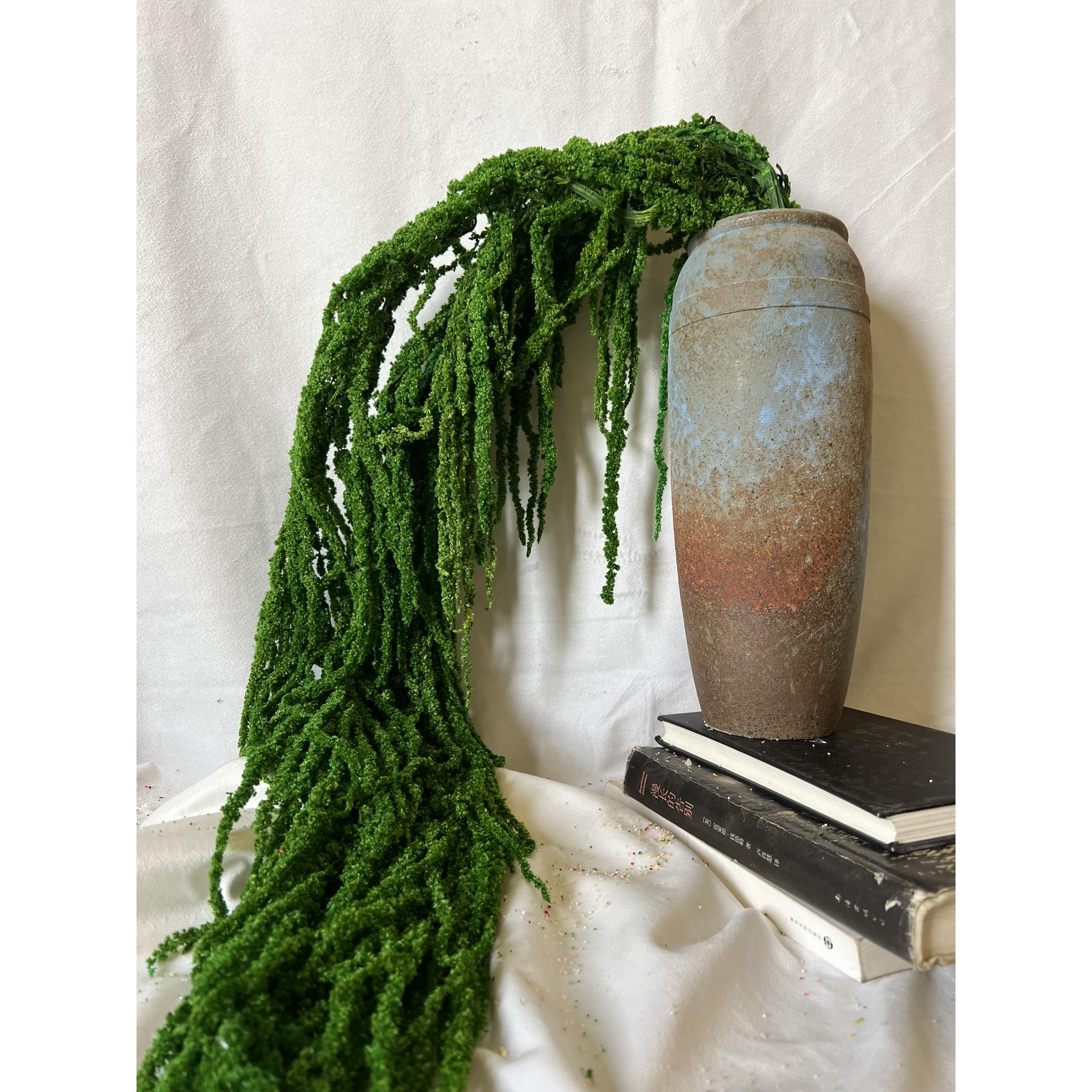 【龙须草】干花束吊米永生花毛毛草婚庆花艺装饰橱窗布置花材纯白