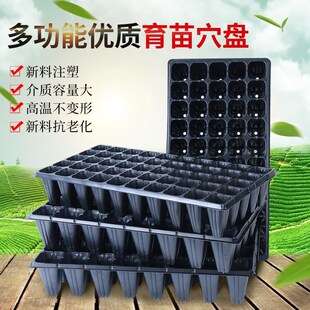 穴盘育苗盘林木蔬菜塑料秧盘大棚用D育苗穴培育盆发芽种植播种家