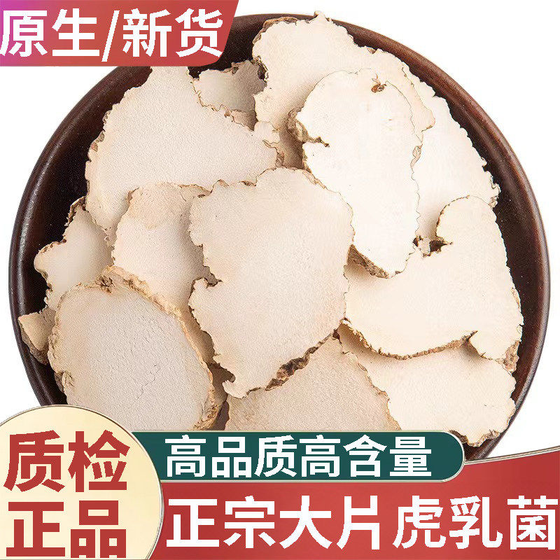 正品天然虎乳菌新货中药材500g大个虎乳菌整个切片虎乳灵芝虎奶菇