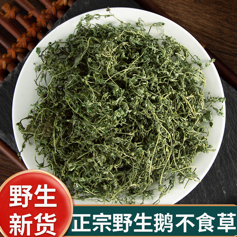 正品野生鹅不食草新货中药材500g正宗新鲜干货整株鹅不吃草干草粉
