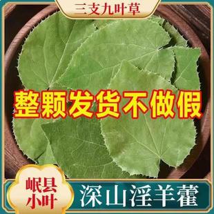 淫羊藿中药材正品 野生小叶淫洋藿泡水喝肉苁蓉锁阳巴戟天枸杞泡酒