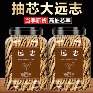 远志中药材正品远志去芯丸肉益智仁伸筋草中草药500克泡水的作用