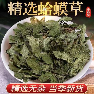 正宗蛤蟆草500g蛤蟆草干的 草癞蛤蟆草 非野生新鲜荔枝草雪见草