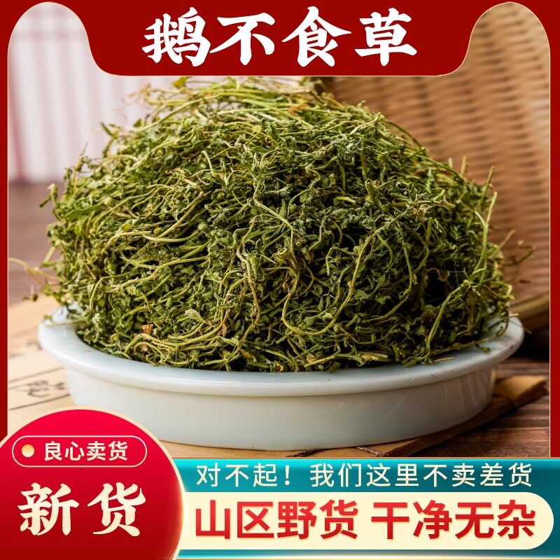 鹅不食草中药材500g正品鹅不吃草野生干草粉末鹅不食草粉饿不食草