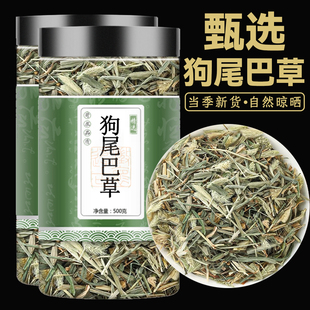 狗尾巴草中药材精选新鲜干货野生狗尾草泡水煮水九尾光明草的功效