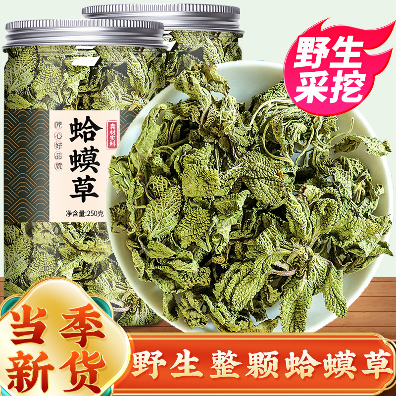 蛤蟆草的功效泡水作用野生中药材500g新鲜干荔枝草雪见草癞蛤蟆茶