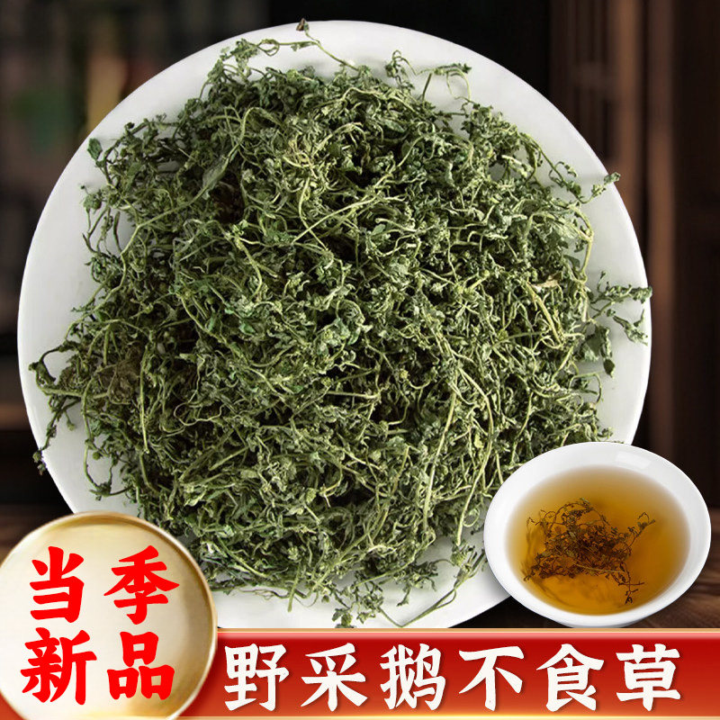 野生鹅不食草中药材鹅不吃草正宗新鲜干货鹅不食草无硫熏