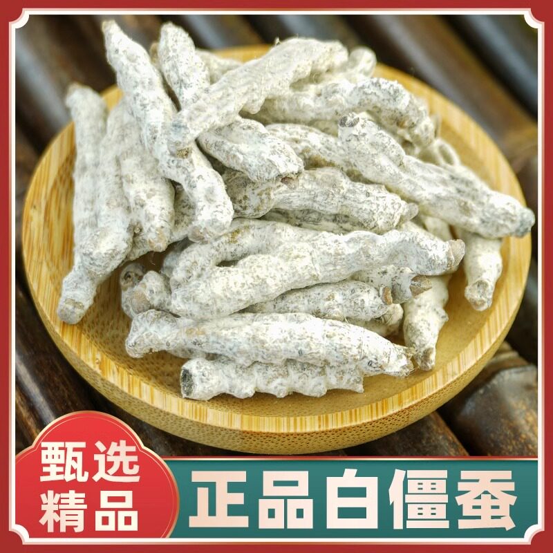 白僵蚕中药材500g克四川中江正品白僵蚕磨粉僵蚕干新货白僵蚕