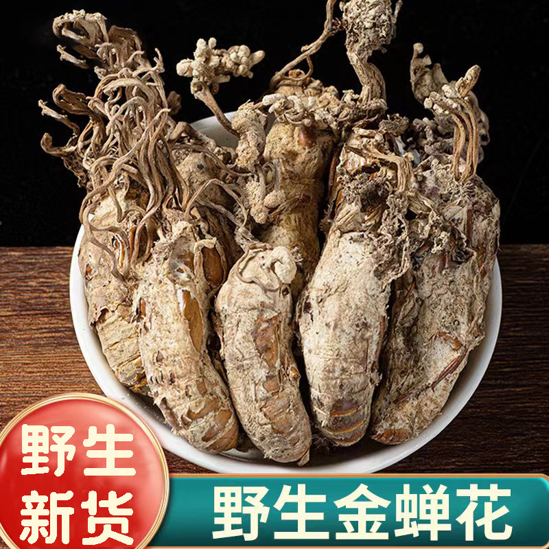 正品野生金蝉花新货中药材500g金蟾花虫草孢子粉知了花金蚕花磨粉
