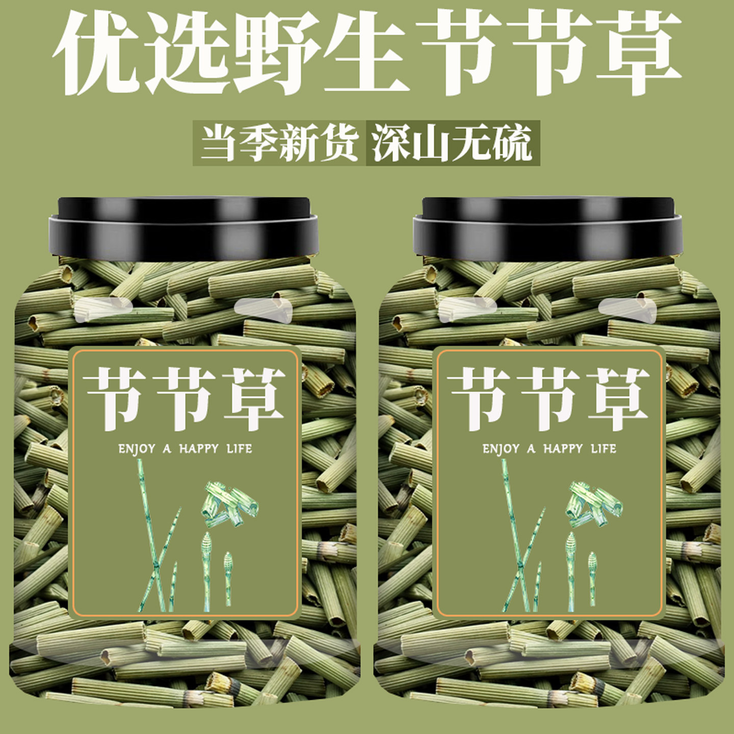 节节草中药材正品野生木贼千峰草笔头草笔筒草节骨草无心草锉草