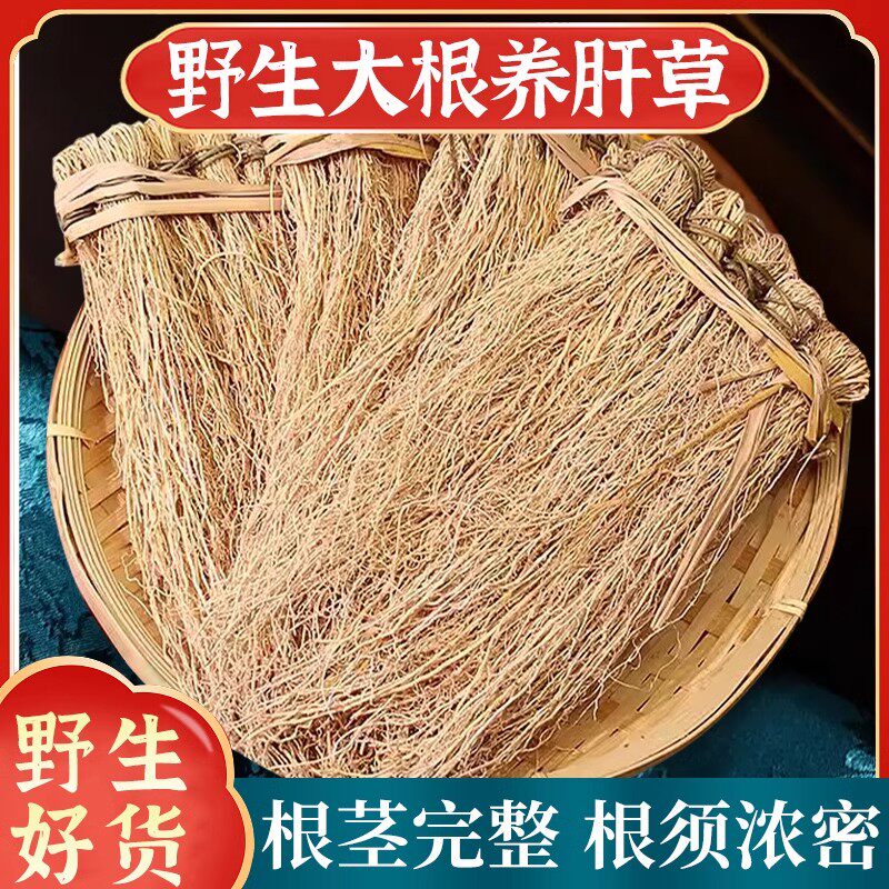 新货养肝草正品农户自晒煲汤材料粤北山区特产护肝草丝线根龙须草
