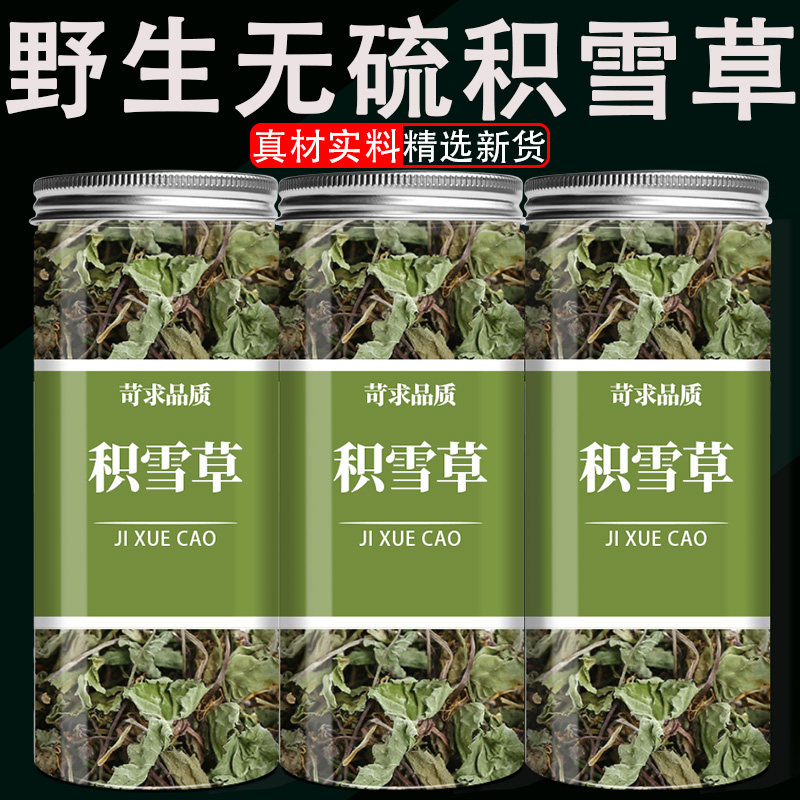 积雪草新鲜马蹄草干崩大碗灯盏菜积雪草粉雷公根凉茶积雪草中药材