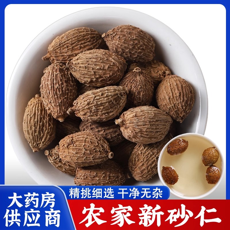 砂仁中药材旗舰店正品香料毛砂仁的功效药用新鲜干货小砂仁沙仁