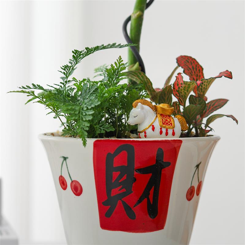 【八方来财】鸭掌木盆栽发财树室内招财绿植办公室送礼好养活花卉