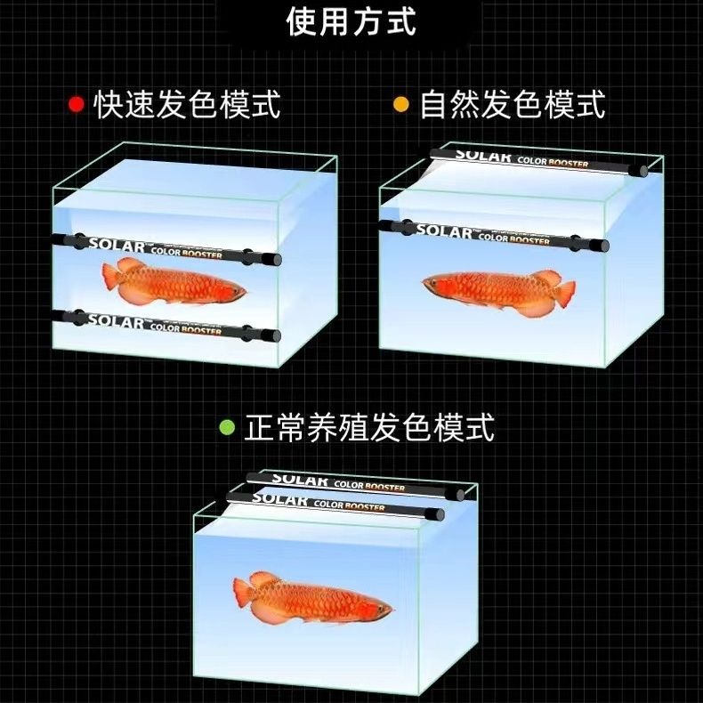 三代升级国标电源尼奥鱼缸灯SOLAR发色灯雷龙用潜水灯led龙鱼增艳