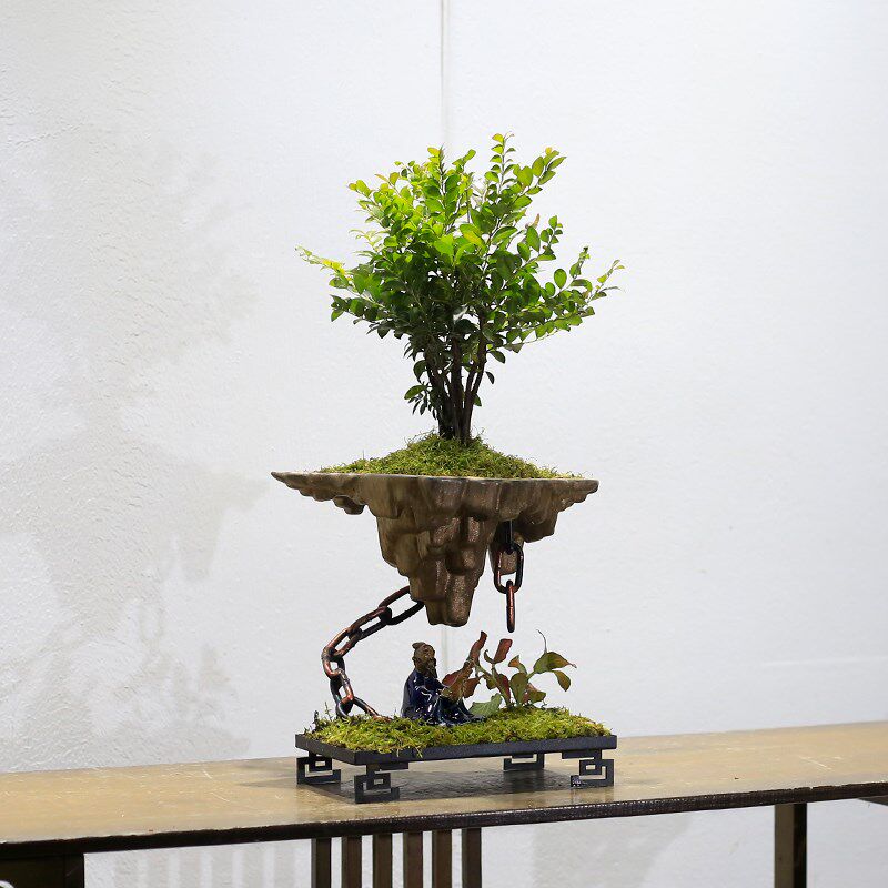 小叶紫檀黑骨茶盆栽室内办公室桌面植物创意微景观天空之城盆景