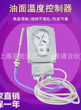 BWY(WTYK)-802ATH/803ATH油面温度控制器4-20mA变压器用温控器
