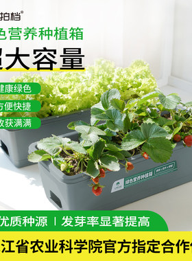 蔬菜营养种植箱室内外种植送种子