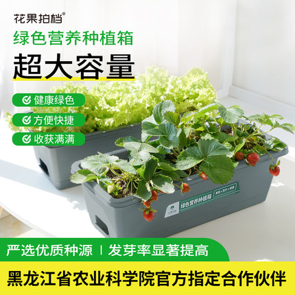 作物奇遇记花果拍档蔬菜种植箱绿色营养阳台室内外蔬菜种子香菜籽