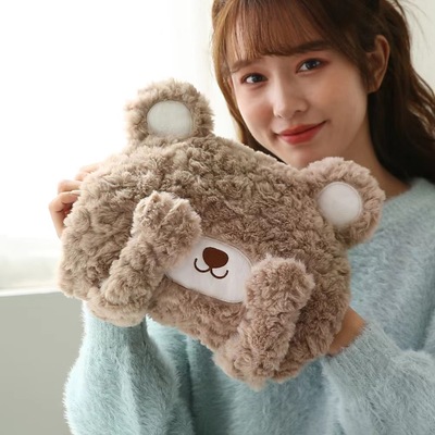 可爱卡通小熊毛绒充电式热水袋可拆洗防爆插手暖宝宝国标保暖手袋