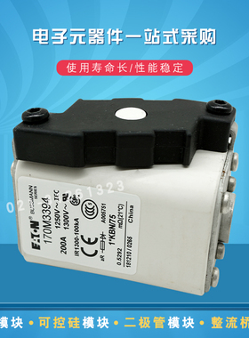 巴斯曼快速熔断器170M4317 4318 4319 4320 4321 4322 4323 4324