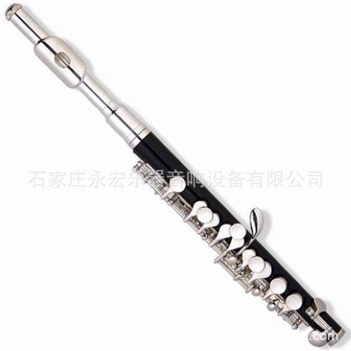 金音短笛高音短笛西洋乐器笛子金属笛头JYPC-E100镀银表面