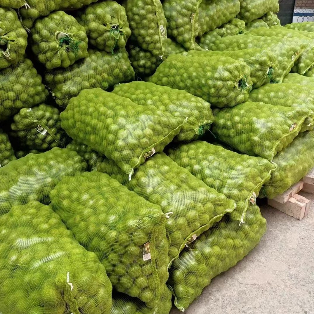 现货打包网眼袋蔬菜水果干果包装pp塑料家禽网袋可跨境运输袋子