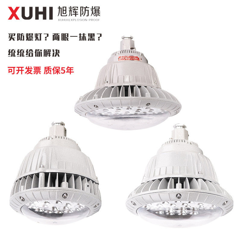 XHD530防爆LED灯50W100W150W防爆灯化工车间防爆照明吊灯
