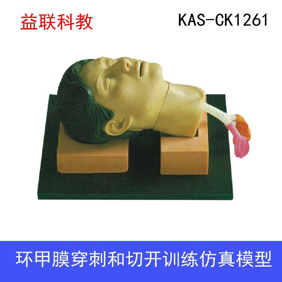 环甲膜穿刺和切开训练仿真模型临床训练模型环甲膜切开术气管切开