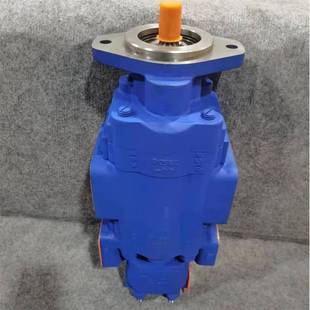 991 113 AOC40AHN50A1R 船用齿轮泵GPP1