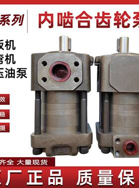 IGPNBZ2NBT3NT2-G10FG12FG16FNT3-G20FG25FG32F高压油泵