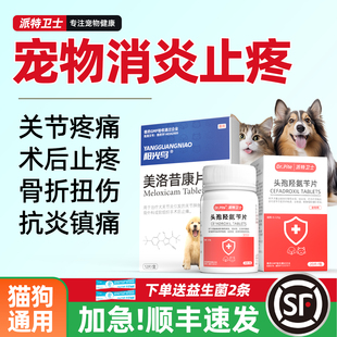 猫咪消炎止痛药摔伤狗狗关节扭伤骨折绝育术后美洛昔康宠物止疼片