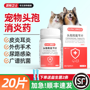 猫咪狗狗消炎药头孢片脓皮症伤口术后绝育消炎感冒药尿路感染尿血