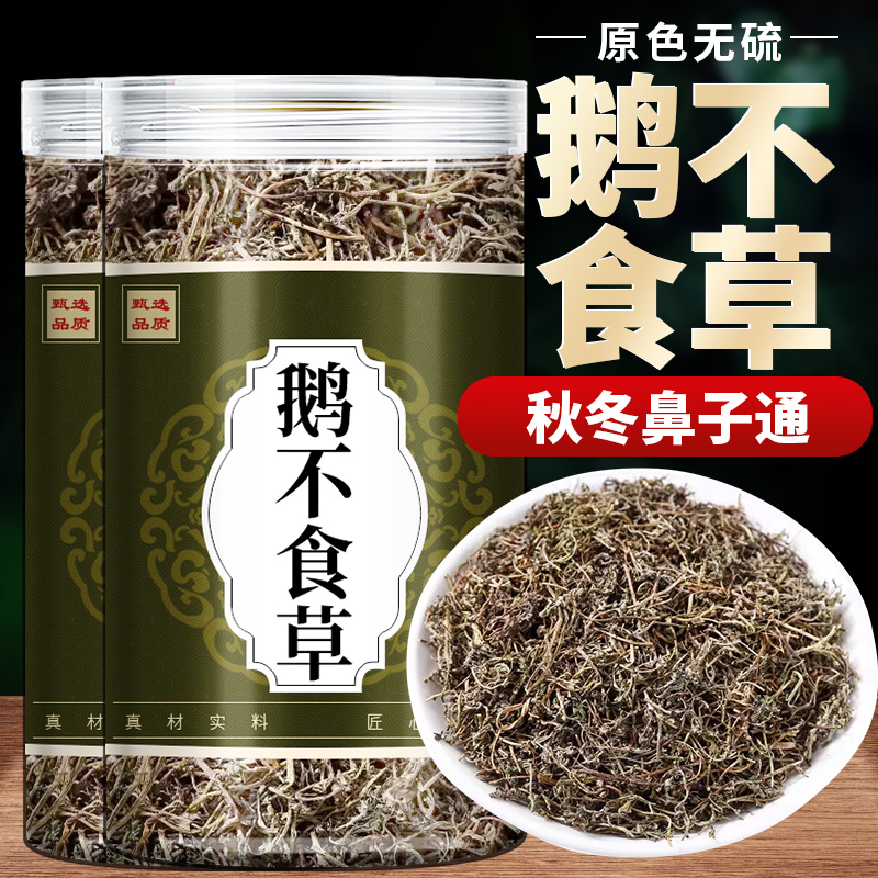 鹅不食草中药材500g苍耳子鹅不食草新鲜野生鹅不吃草粉泡水喝