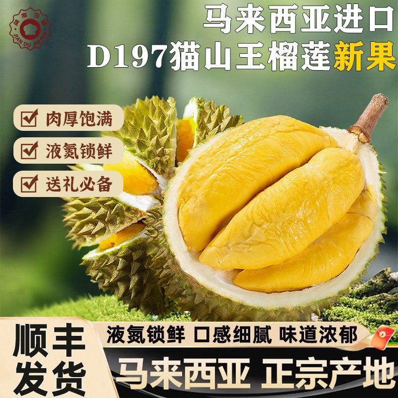 正宗马来西亚猫山王榴莲D197榴莲