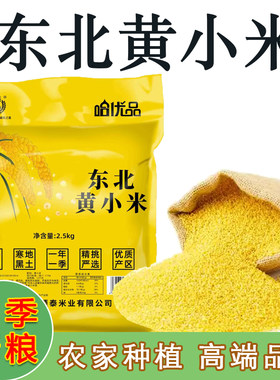 东北黄小米新米农家自产五谷杂粮