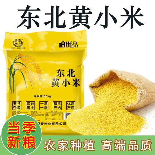 东北黄小米新米农家自产五谷杂粮
