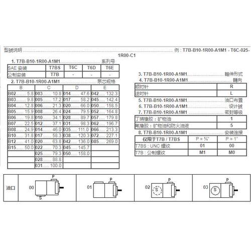 DENISON丹尼逊叶片泵T6D-035-1R01-C1 1R00 1R02 1R03 T6D-038