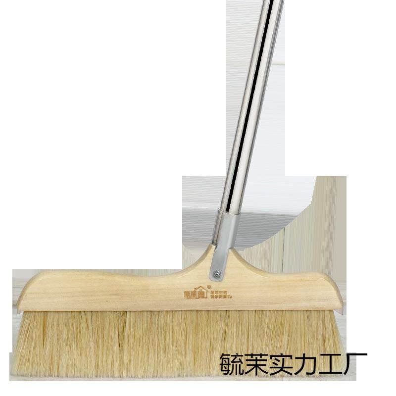 博丽雅猪鬃扫把混合鬃毛扫把单个家用猪鬃软毛扫头发除灰尘扫把,鲜花速递/花卉仿真/绿植园艺,割草机/草坪机,淘宝优惠券,粉丝福利购,淘宝优惠卷